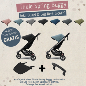 Thule Spring Buggy Post